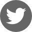 Twitter Tweet about this on Twitter